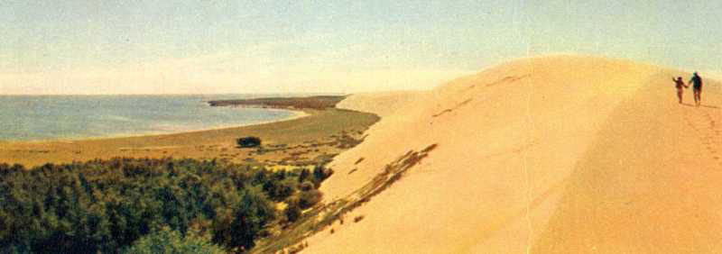 Дюна Гроб. Калининградская область